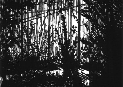 Serres-5, 11.5X17cm, gravure, 1997