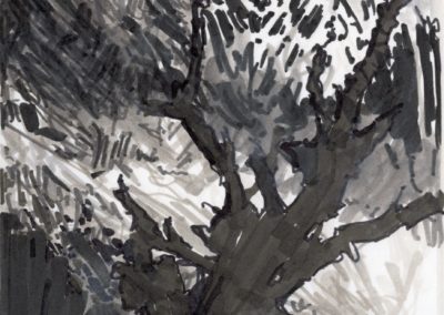 Broussailles, Stylo feutre 1993, 22.5X22.5cm 1