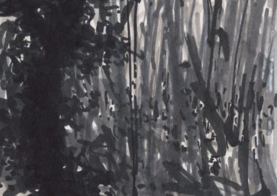 Broussailles, Stylo feutre 1993, 22.5X22.5cm 2