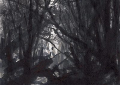 Broussailles, Stylo feutre 1993, 22.5X22.5cm 5