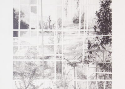 Mine de plomb 1995, 60x75cm 1