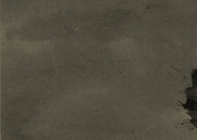 Brou de noix 2004, 17x24cm-1