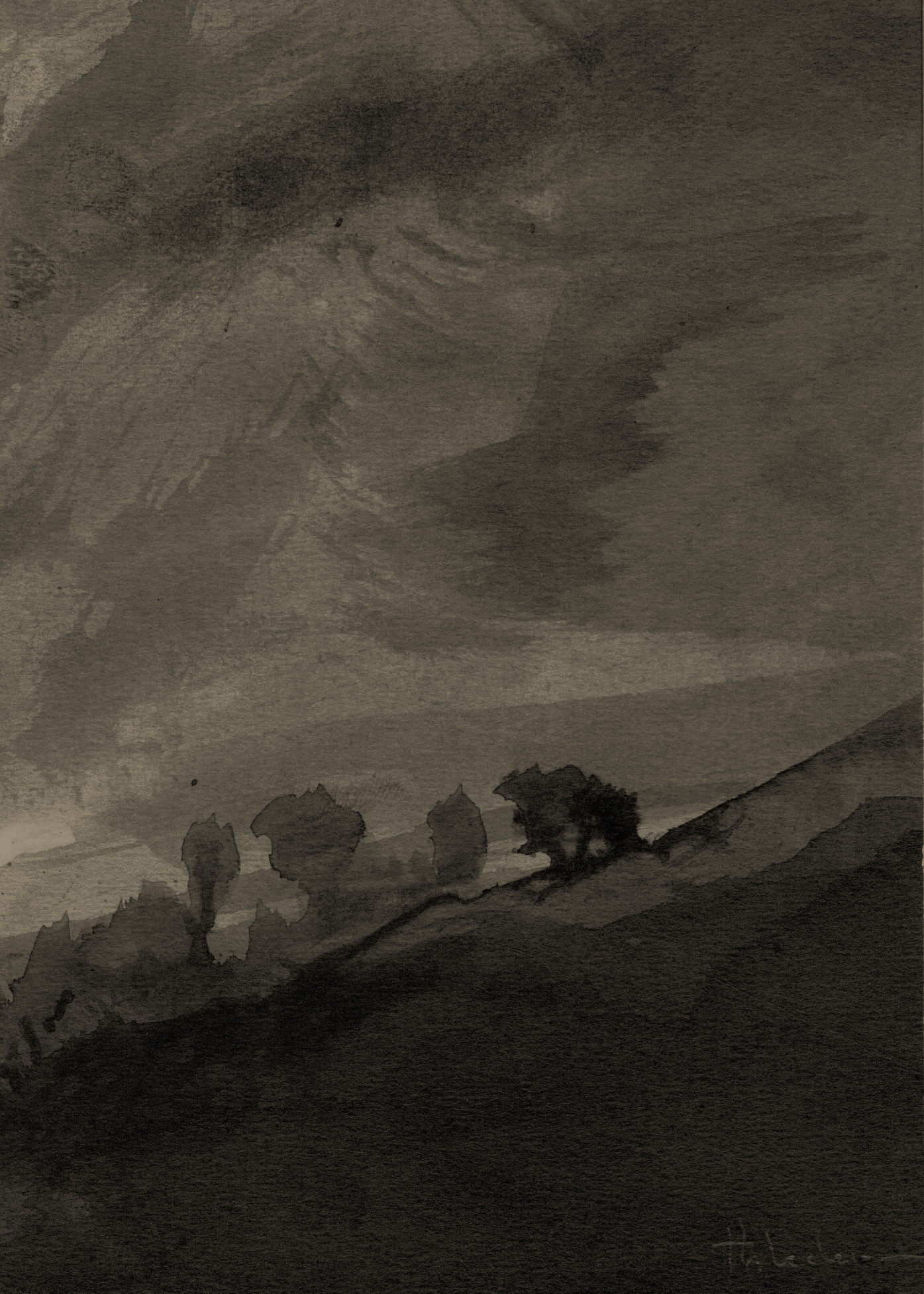 Mine de plomb 1995, 60x75cm 1