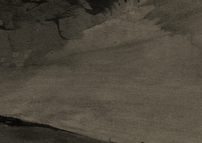 Brou de noix 2003-4, 17x24cm-3