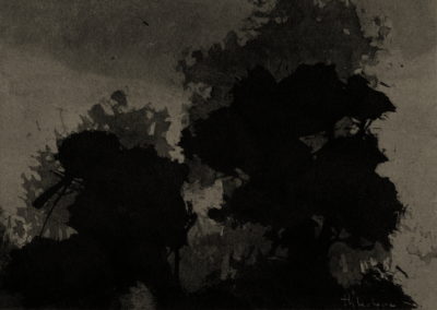 Brou de noix 2003-4, 17x24cm-5