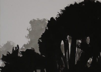 Encre 2004, 50x70cm 2