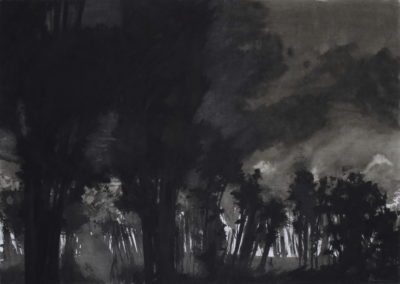 Encre 2004, 50x70cm 3