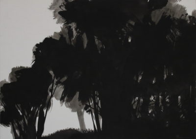 Encre 2004, 50x70cm 4