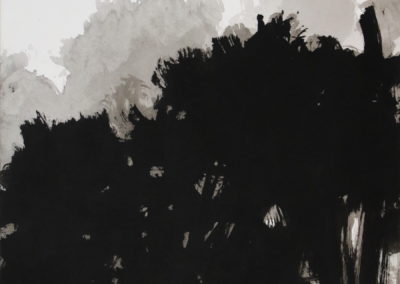 Encre 2004, 50x70cm 5