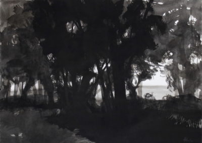 Encre 2004, 50x70cm 6