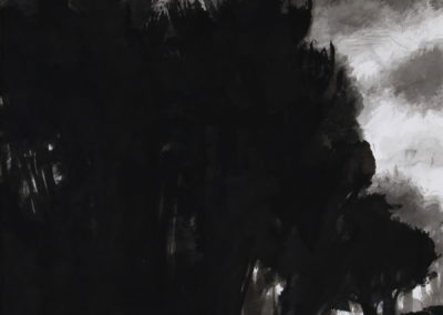 Encre 2004, 50x70cm 8