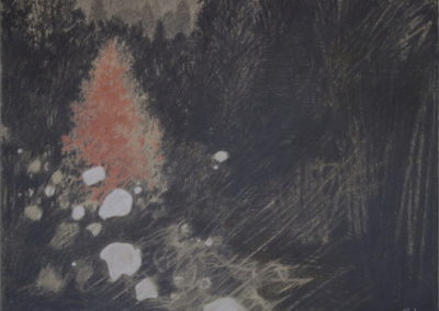 Sanguine et Pierre Noire 2008-10, 36x48cm 1