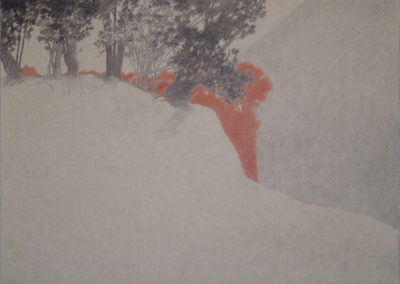 Sanguine et Pierre Noire 2008-10, 36x48cm 2