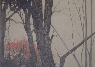 Sanguine et Pierre Noire 2008-10, 36x48cm 3