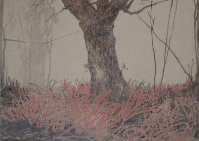 Sanguine et Pierre Noire 2008-10, 36x48cm 6