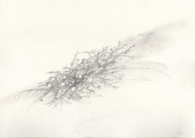 Mine de plomb 2012, 17.5x25cm 1