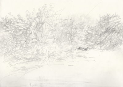 Mine de plomb 2012, 17.5x25cm 2