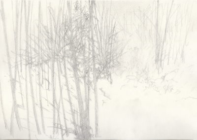 Mine de plomb 2012, 17.5x25cm 4