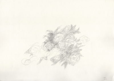 Mine de plomb 2012, 17.5x25cm 5