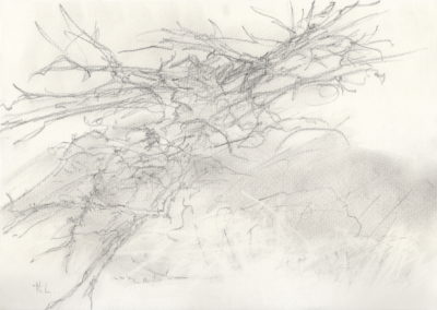 Mine de plomb 2012, 17.5x25cm 6