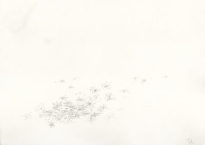 Mine de plomb 2012, 17.5x25cm 7