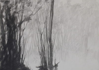 Fusain et pierre noire 2010, 50x70cm 2