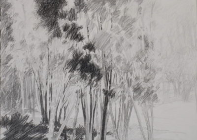 Fusain et pierre noire 2010, 50x70cm 3