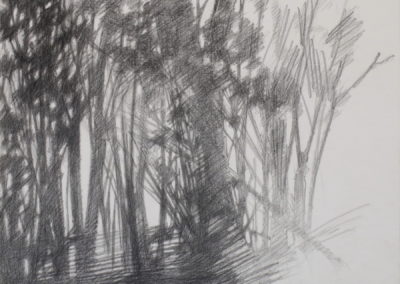 Fusain et pierre noire 2010, 50x70cm 4