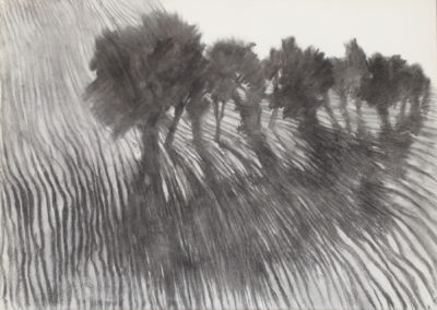 Fusain et pierre noire 2010, 50x70cm 5