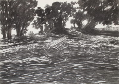 Fusain et pierre noire 2010, 50x70cm 6