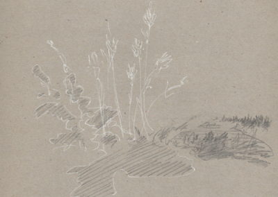 Encre blanche et crayon 2015, 21x29.7cm 1