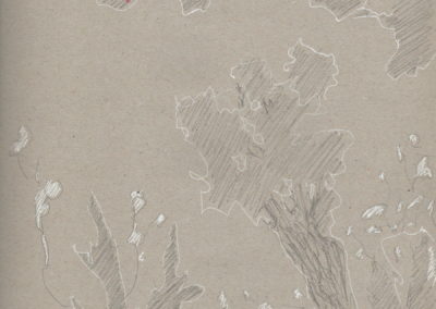 Encre blanche et crayon 2015, 21x29.7cm 12