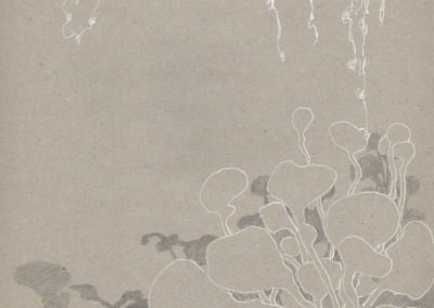 Encre blanche et crayon 2015, 21x29.7cm 13