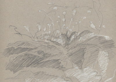 Encre blanche et crayon 2015, 21x29.7cm 3