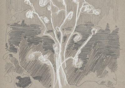 Encre blanche et crayon 2015, 21x29.7cm 4