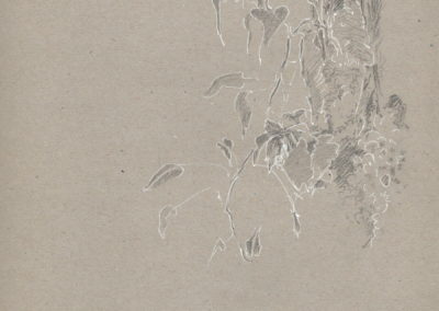 Encre blanche et crayon 2015, 21x29.7cm 5