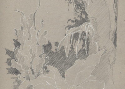 Encre blanche et crayon 2015, 21x29.7cm 6