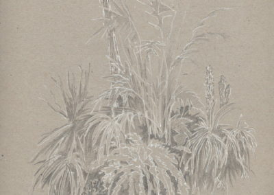 Encre blanche et crayon 2015, 21x29.7cm 8