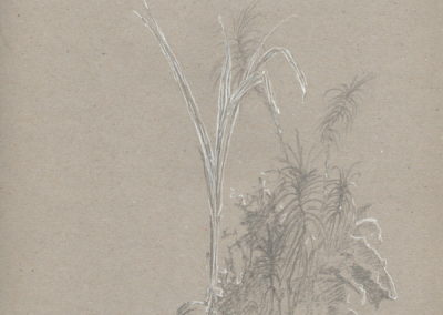 Encre blanche et crayon 2015, 21x29.7cm 9