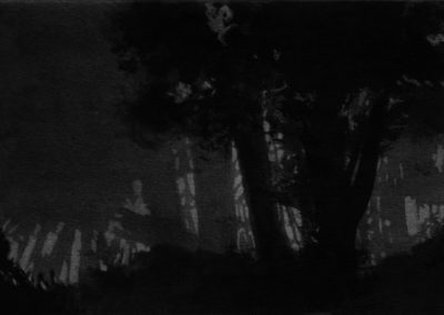 Schumann, Encre 2006, 16,5x50cm-1