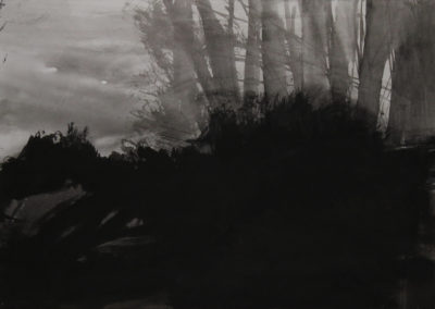 Schumann, Encre 2006, 50x70cm 1