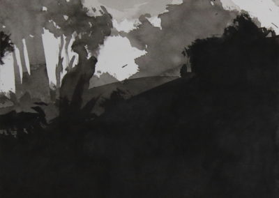 Schumann, Encre 2006, 50x70cm 10