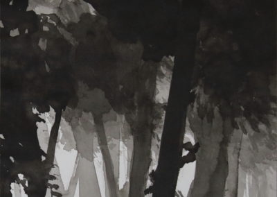 Schumann, Encre 2006, 50x70cm 11