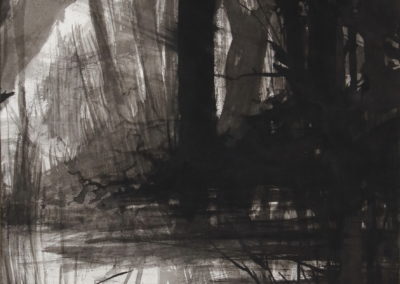 Schumann, Encre 2006, 50x70cm 3