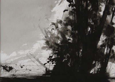 Schumann, Encre 2006, 50x70cm 4