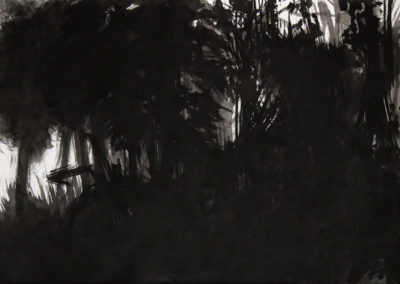 Schumann, Encre 2006, 50x70cm 5