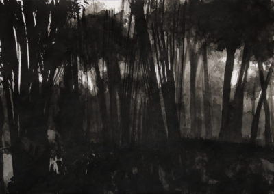 Schumann, Encre 2006, 50x70cm 6