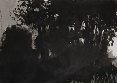Schumann, Encre 2006, 50x70cm 7