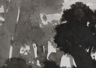 Schumann, Encre 2006, 50x70cm 9