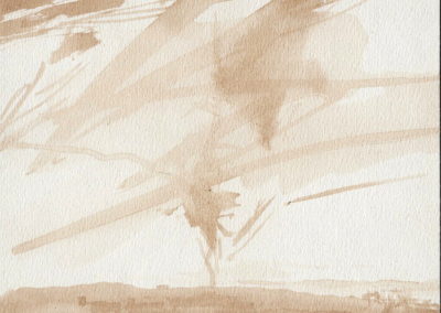 Palestine, Brou de noix 2007, 17x24cm 1